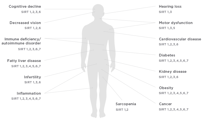 Ailments in which sirtuins are implicated