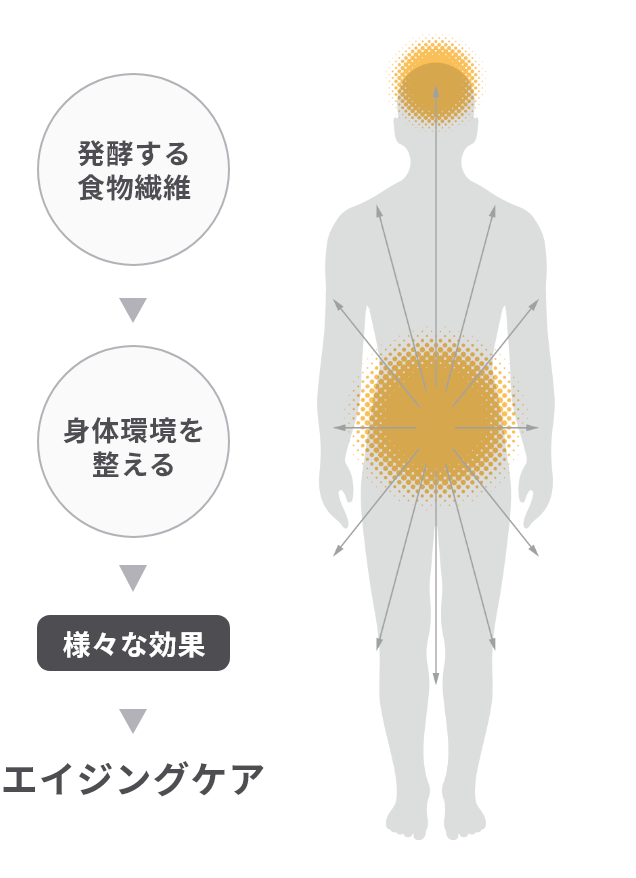 エイジングケア イメージ