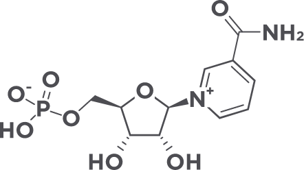 科学