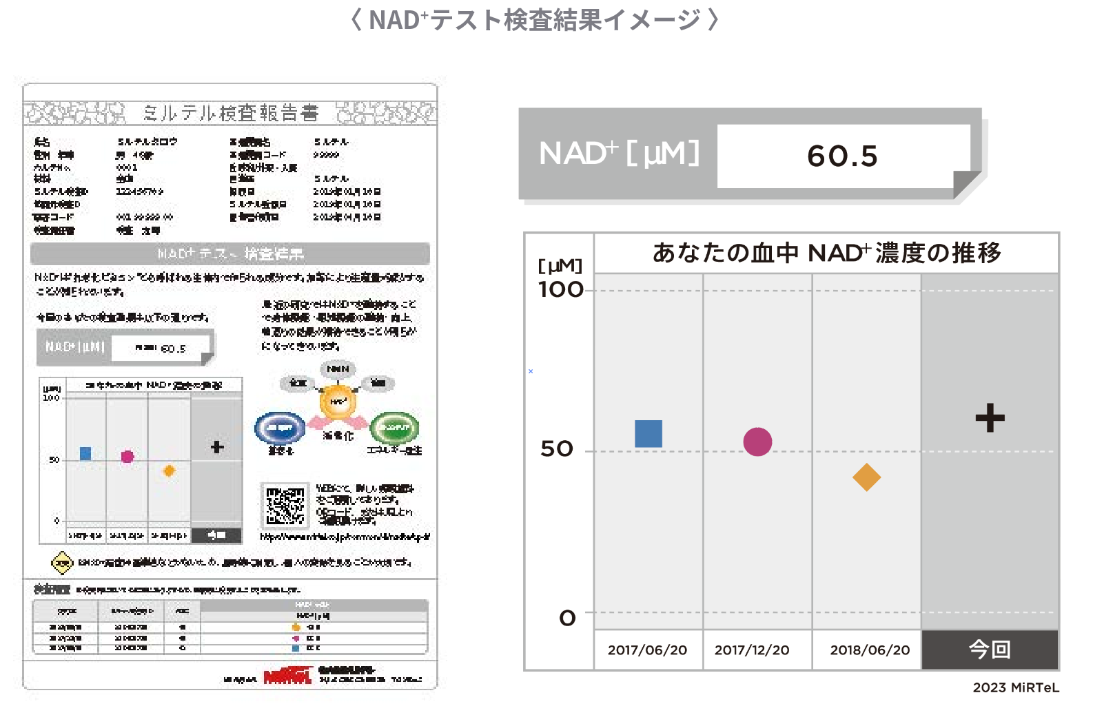 〈 NAD+テスト検査結果イメージ 〉