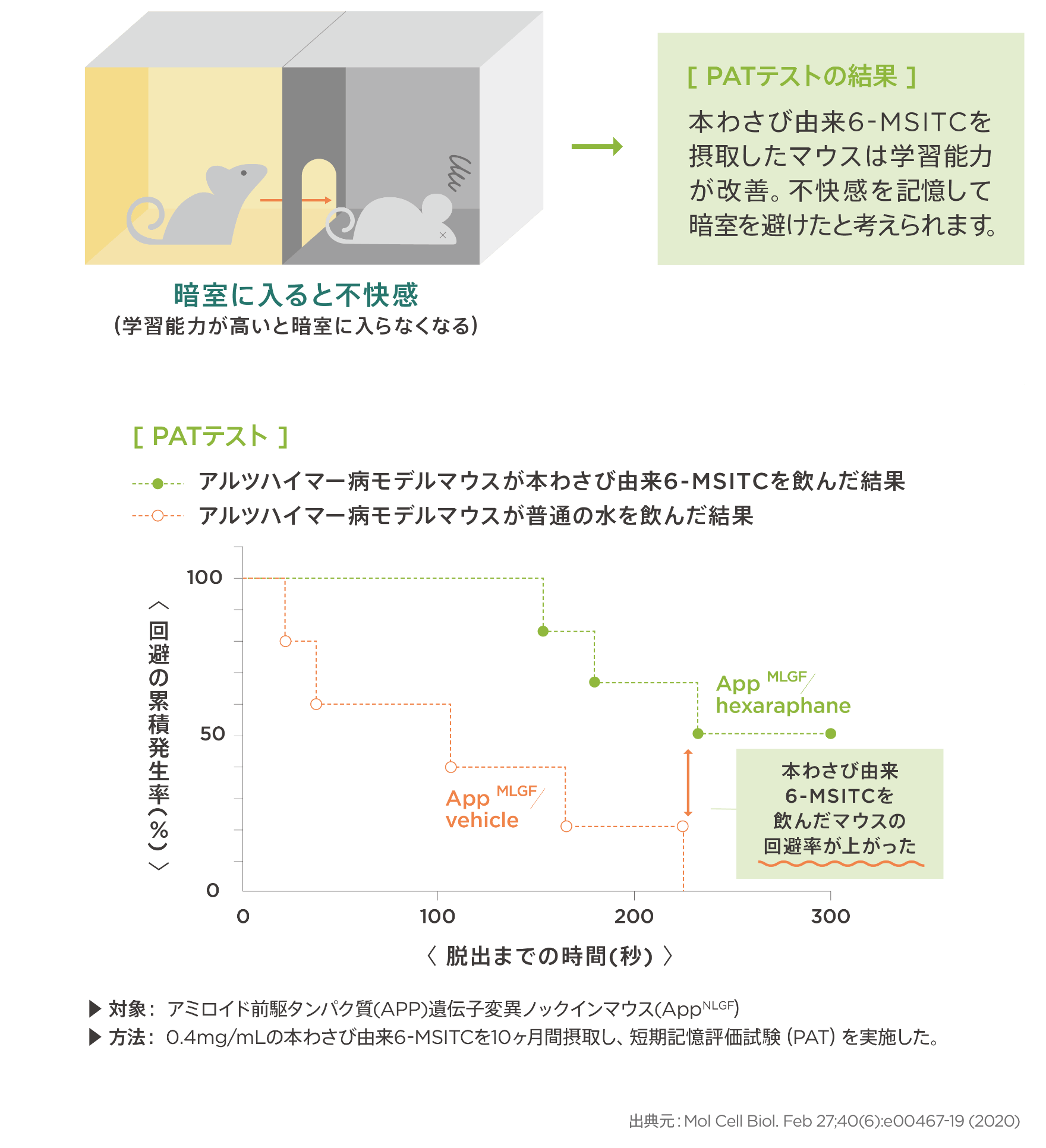 認知症モデルマウスの記憶力が改善